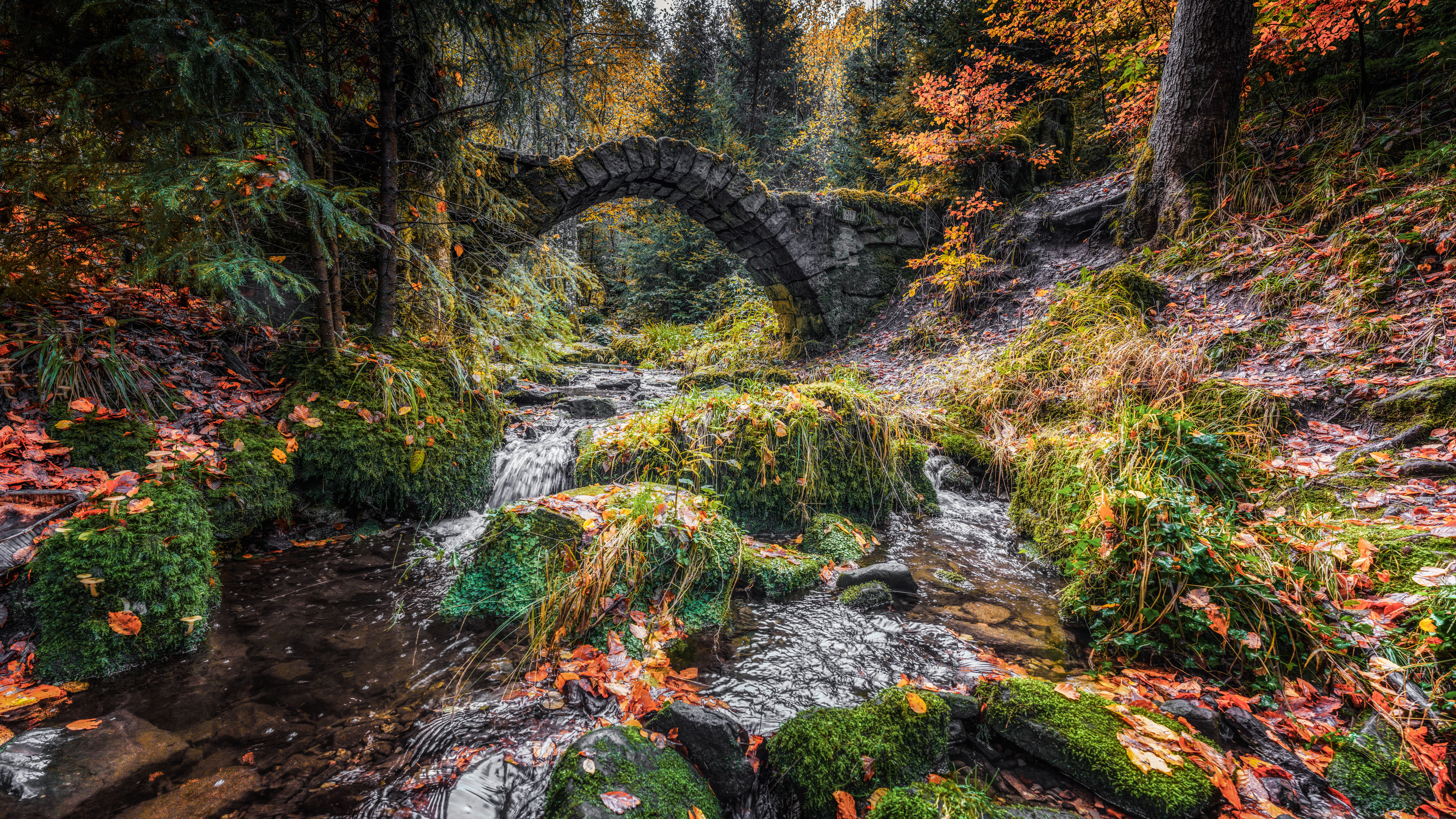 Beim Fotowettbewerb des Naturparks Schwarzwald Mitte/Nord reichten 336 Teilnehmende 613 Fotos ein.