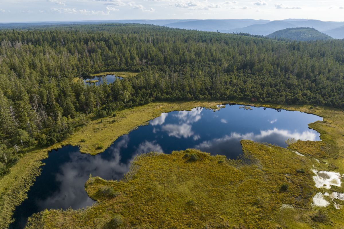 Michael Keppler/Naturpark Schwarzwald Mitte/Nord