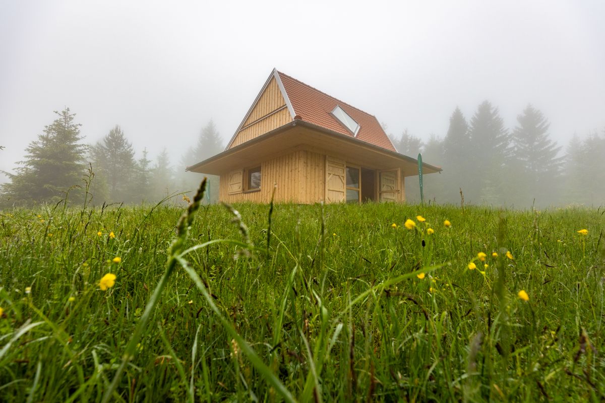 Johannes Nickel/Naturpark Schwarzwald Mitte/Nord