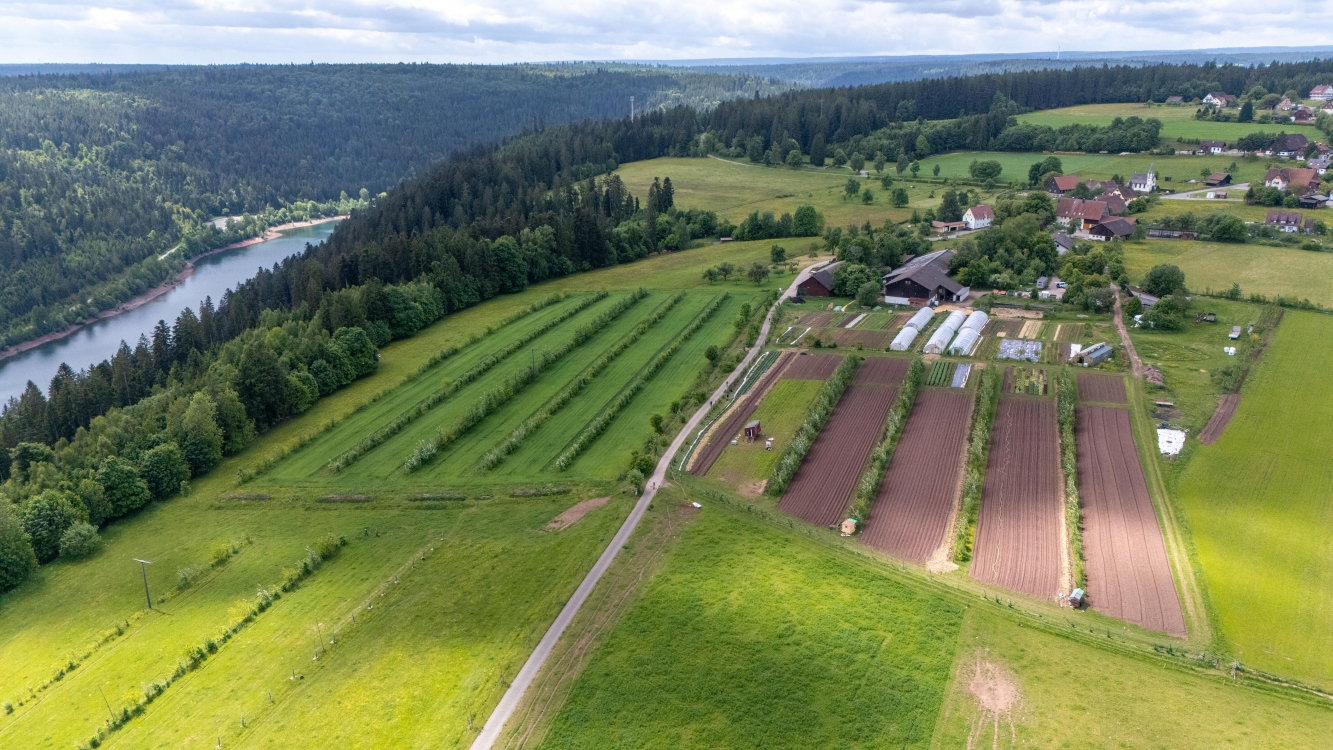 Hof Sonnenwald Niklas Kullik/Naturpark Schwarzwald Mitte/Nord