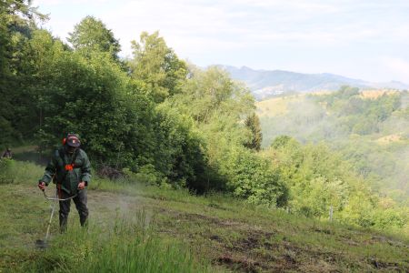 Lilli Wahli/Naturpark Schwarzwald Mitte/Nord