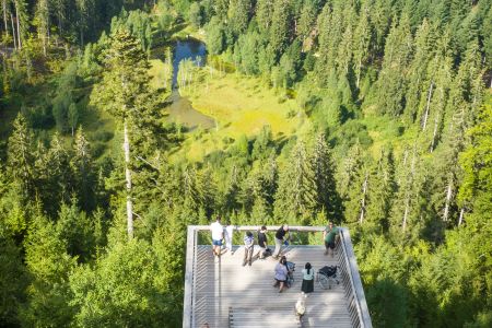 Dietmar Denger/Naturpark Schwarzwald Mitte/Nord