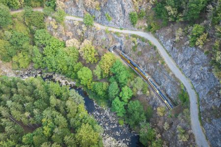 Dietmar Denger/Naturpark Schwarzwald Mitte/Nord