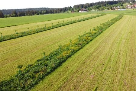 Naturpark Schwarzwald Mitte/Nord