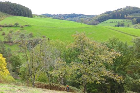 Christian Schütt/Naturpark Schwarzwald Mitte/Nord