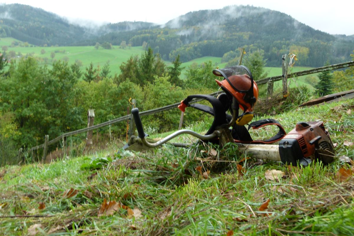 Christian Schütt/Naturpark Schwarzwald Mitte/Nord