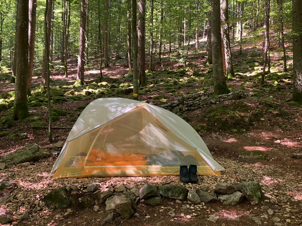 Zelt mitten im Wald