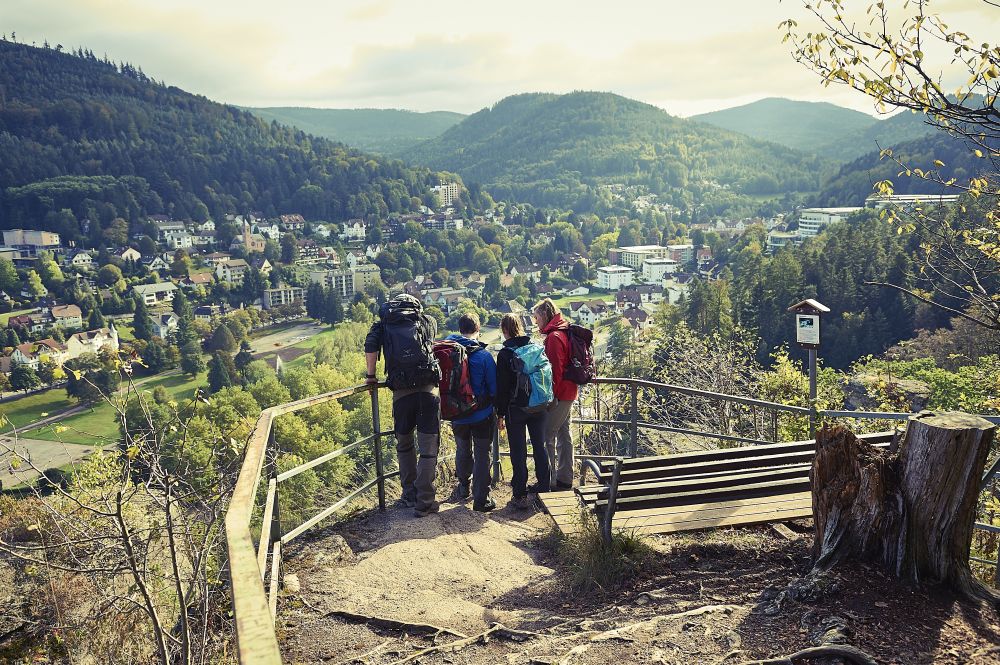 Menschen blicken ins Albtal.