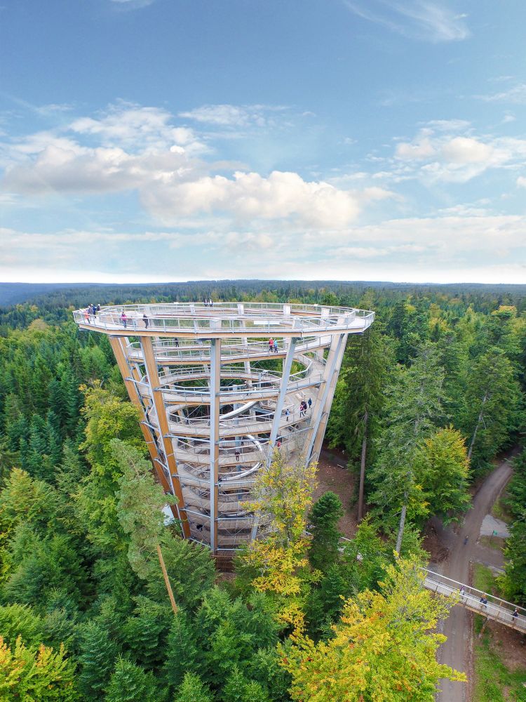 Turm des Baumwipfelpfads