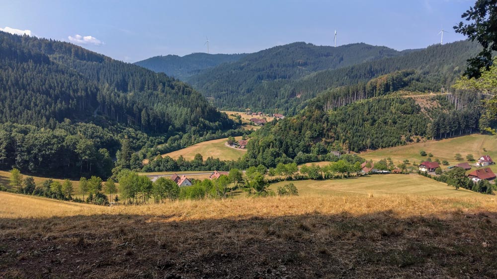 Blick ins Wolftal im Naturpark Schwarzwald mit bewaldeten Hügeln und Windrädern am Horizont
