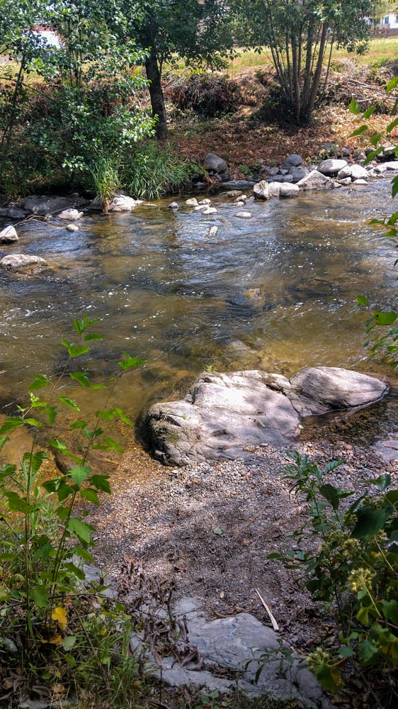 Infotafel zum Klimawandel des Klima-Wandelpfads Oberwolfach im Ortskern am Bachufer