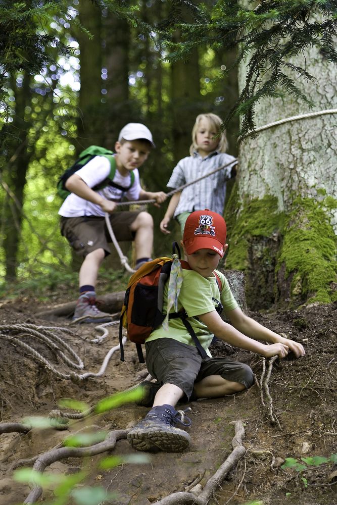 Kinder hangeln sich einem Seil entlang einen von Wurzeln durchwachsenen Waldpfad hinunter.