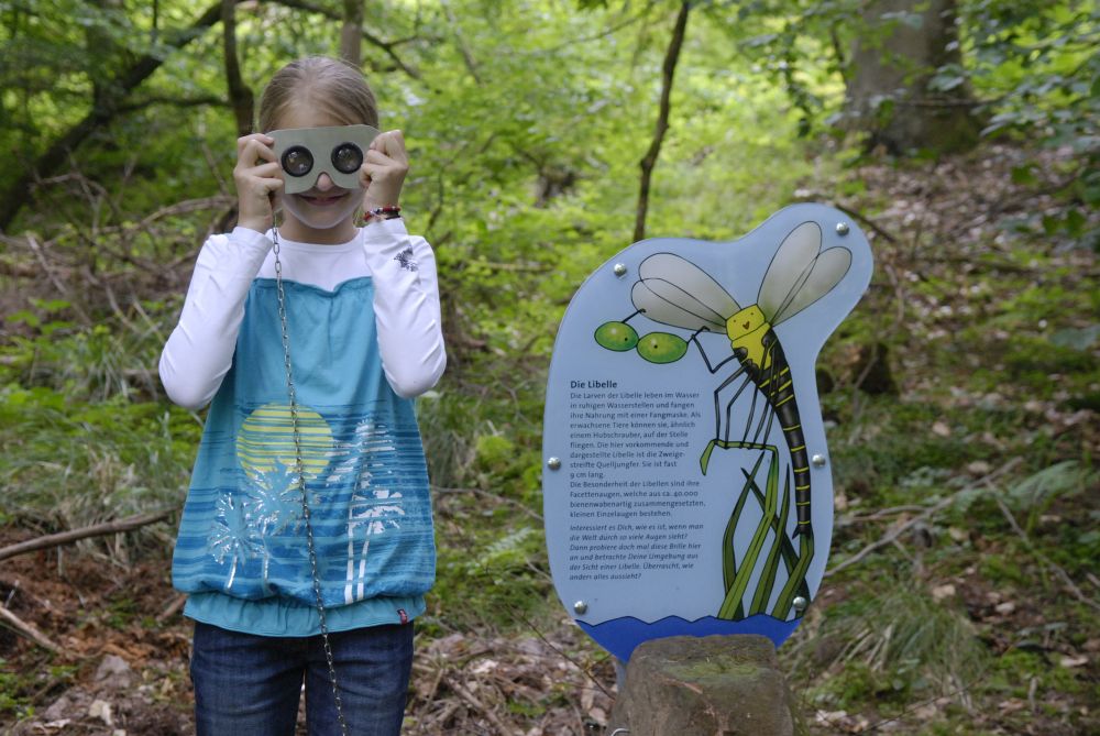 Ein Mädchen hält sich vor einer Infotafel eine Lupenbrille vor die Augen.