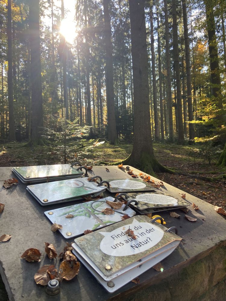 Lernstation im Wald