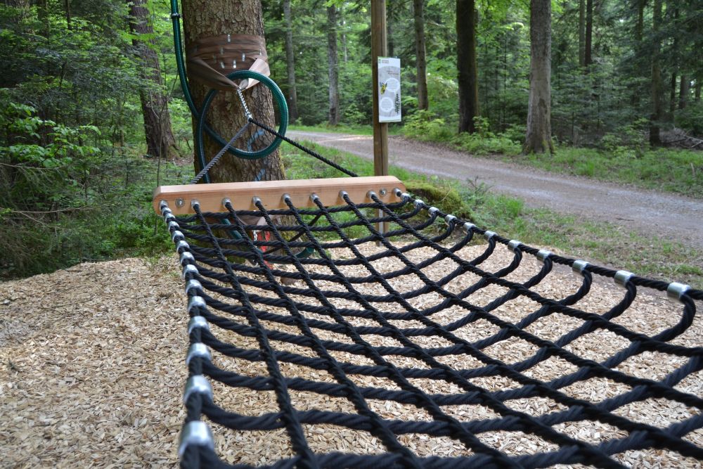 Hängematte an einem Waldweg gelegen