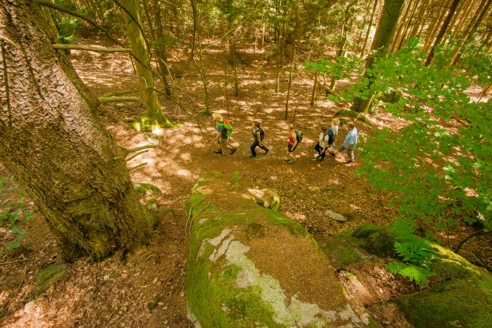 MEnschen laufen hintereinander durch den Wald.
