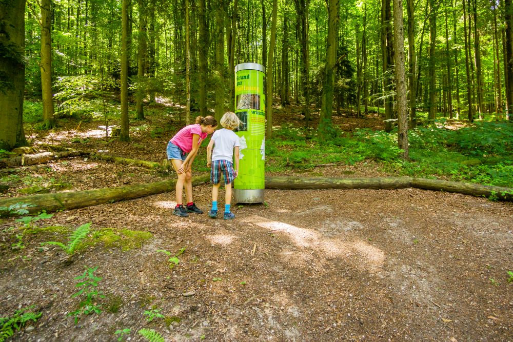 Zwei Kinder schauen sich eine Infosäule im Wald an.