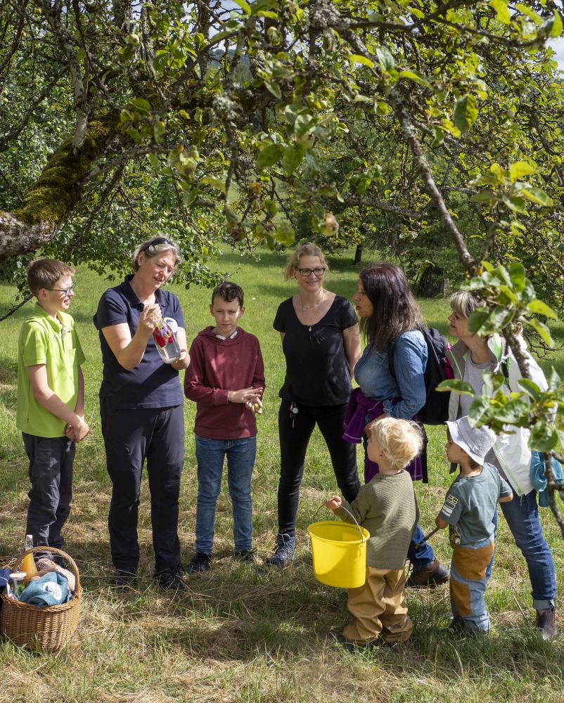Eine Schwarzwald-Guide steht mit ihrer Gruppe auf einer Streuobstwiese.