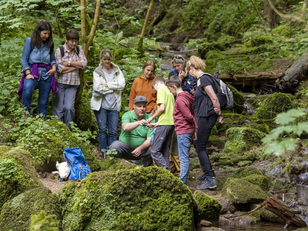 Menschen im Wald bei einer Schwarzwald-Guide-Tour