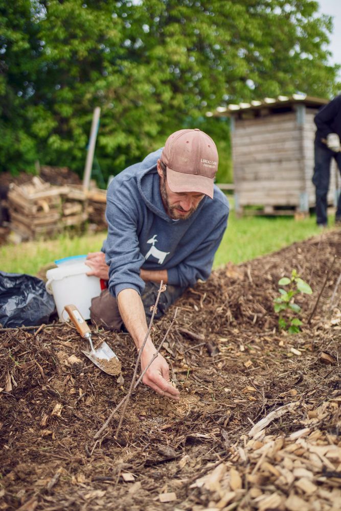 Landwirt Johannes Lorenz pflanzt einen Setzling.