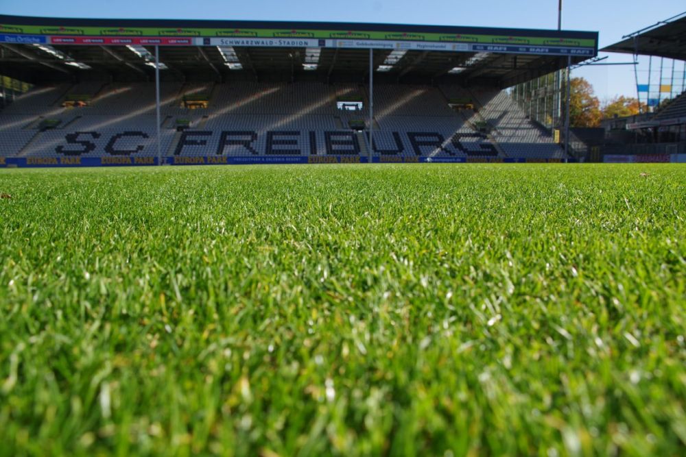 Rasen und Tribüne im alten Fußballstadion des SC Freiburg