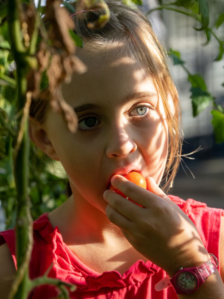 Ein Mädchen steckt sich eine kleine Tomaten in den Mund.