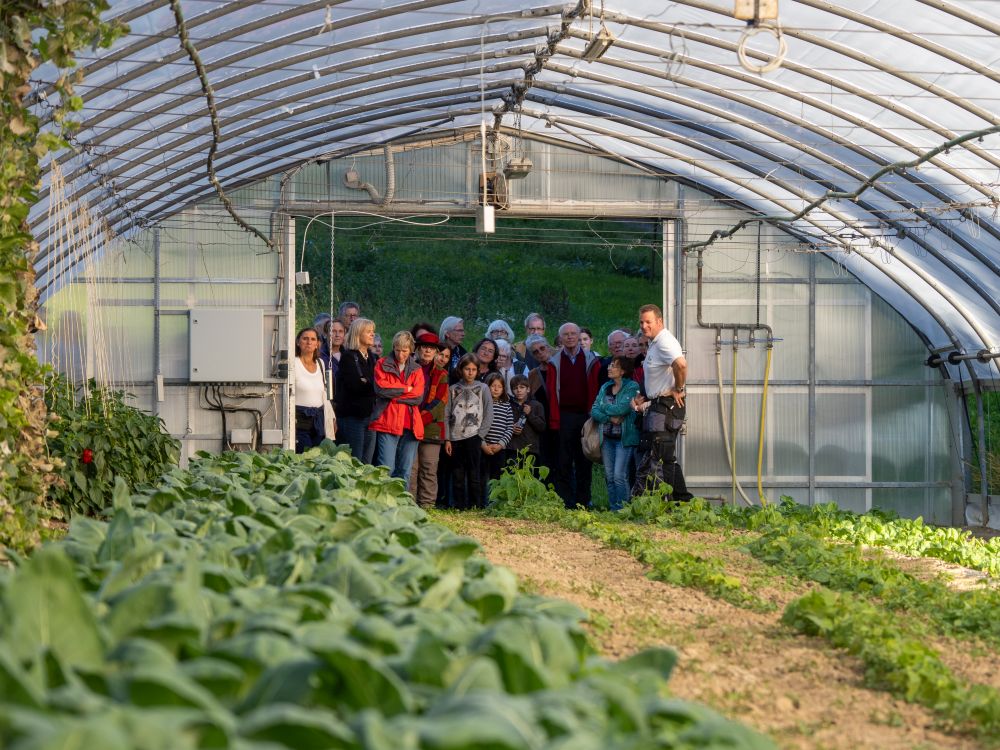 Menschen stehen am Eingang eines Gewächshauses.