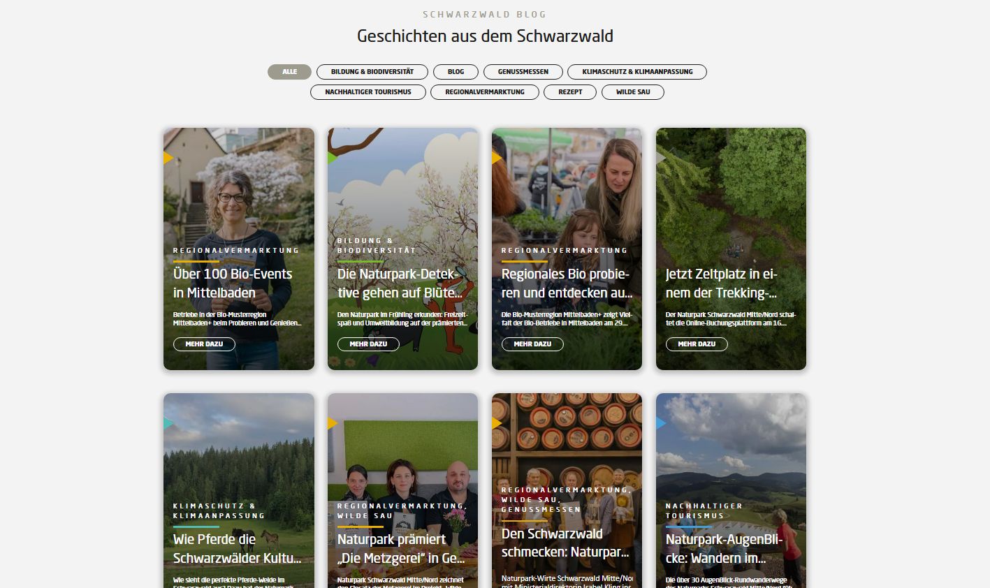 Kacheln zu den Blogartikeln