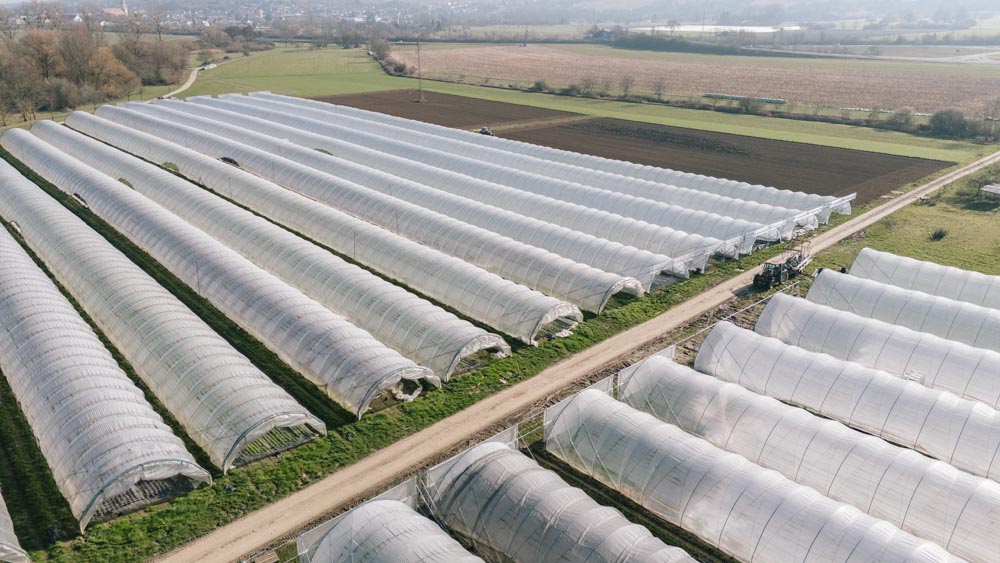 Gewächshaus-Tunnel auf landwirtschaftlichen Flächen 