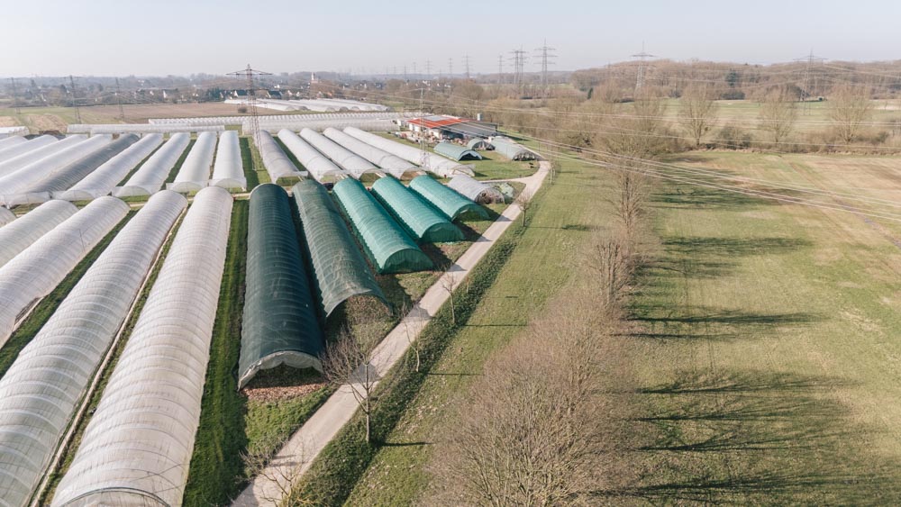Gewächshaus-Tunnel auf landwirtschaftlichen Flächen