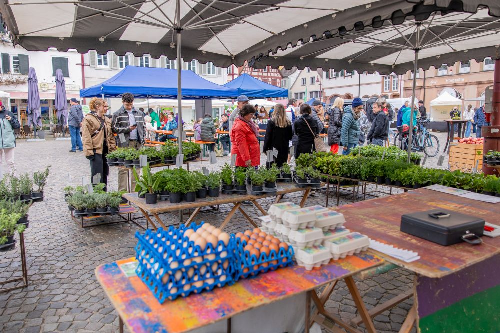 Menschen laufen zwischen Markt-Ständen. Im Vordergrund stehen Eierkartons.