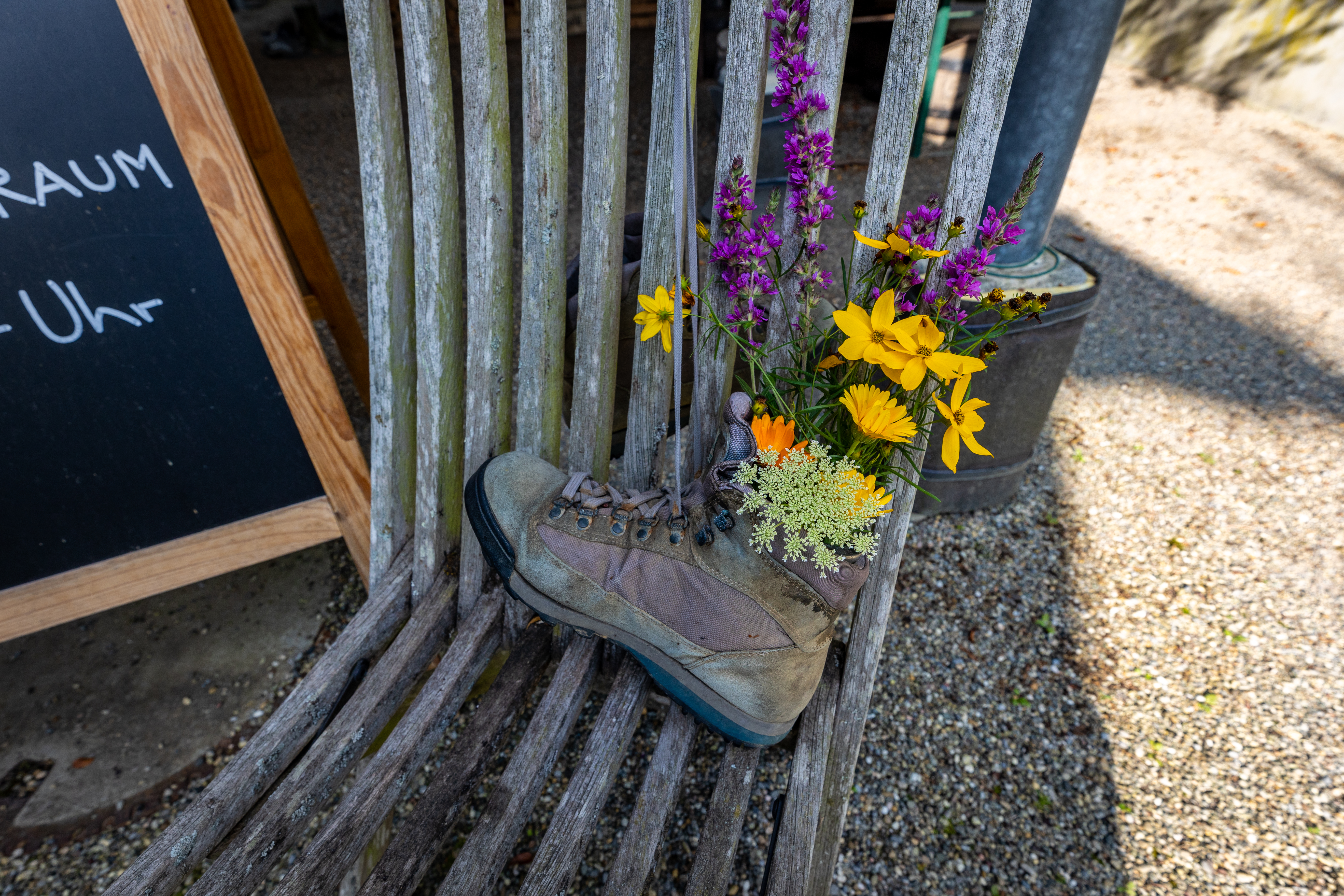 alter Wanderschuh ist mit heimischen Wildblumenarten gefüllt.