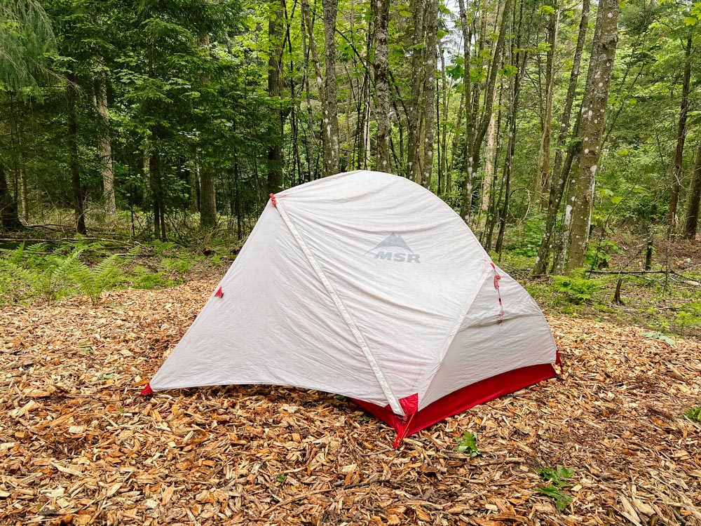 weißes Zelt im Wald
