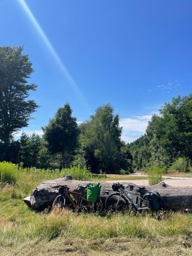 Gravel Bikes mit Trekking-Gepäck lehnen an einem gefällten Baumstamm