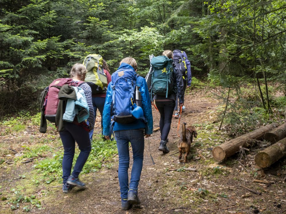 Menschen mit Trekking-Rucksäcken und Hund wandern im Wald
