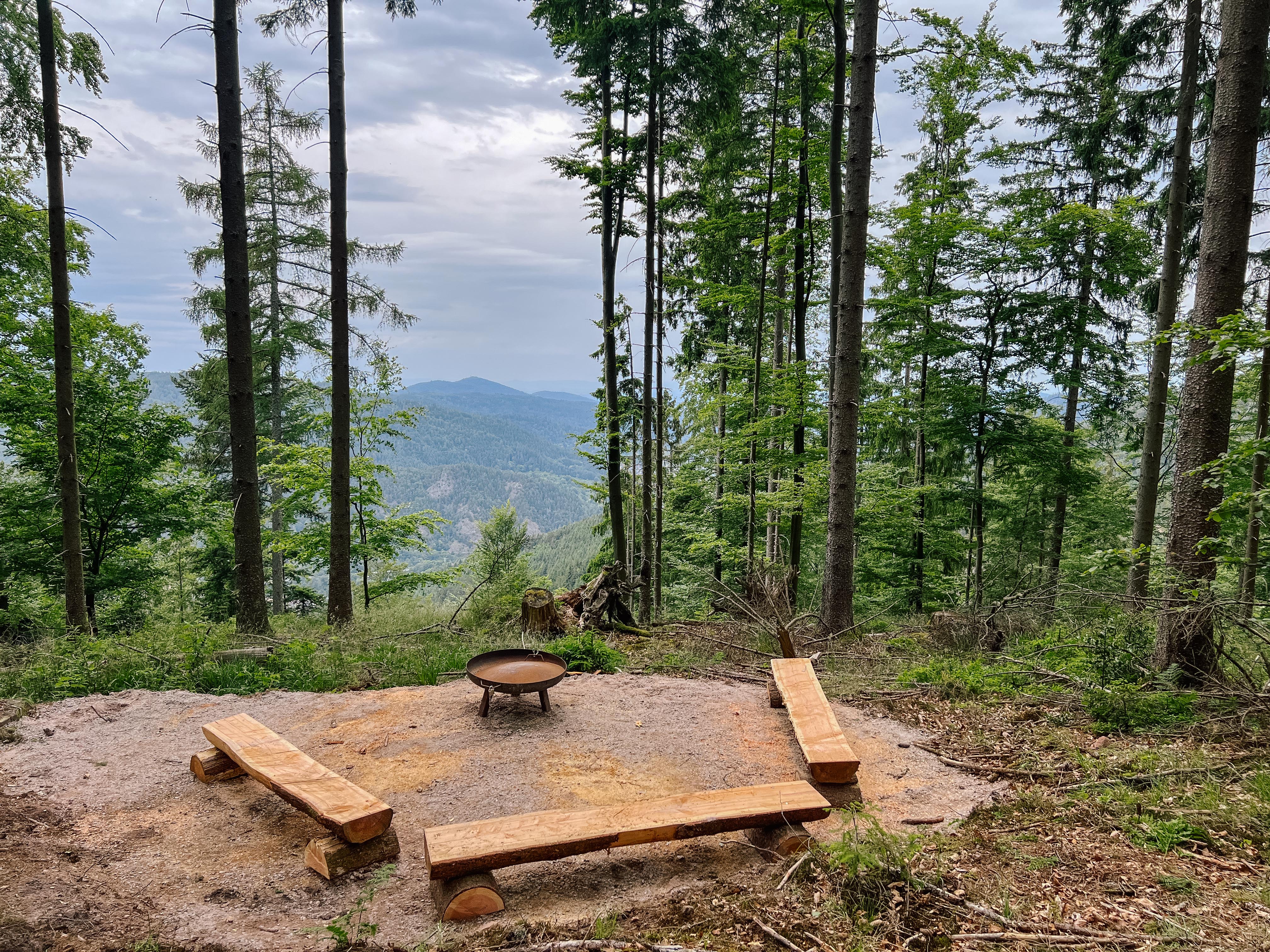 Baumstammbänke um eine Feuerschale herum im Wald mit Blick ins Murgtal