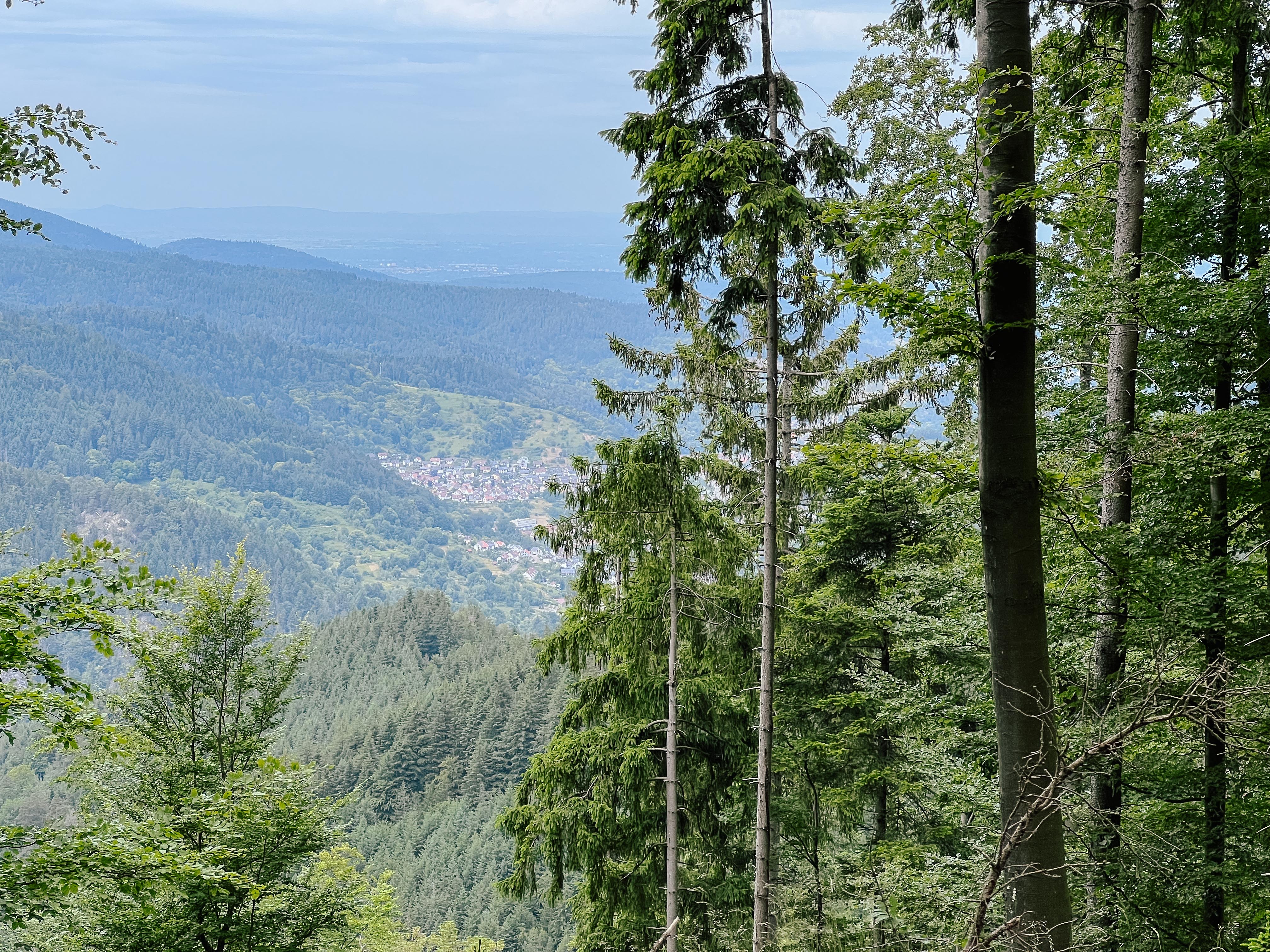 Ausblick vom Trekking-Camp aus ins Murgtal