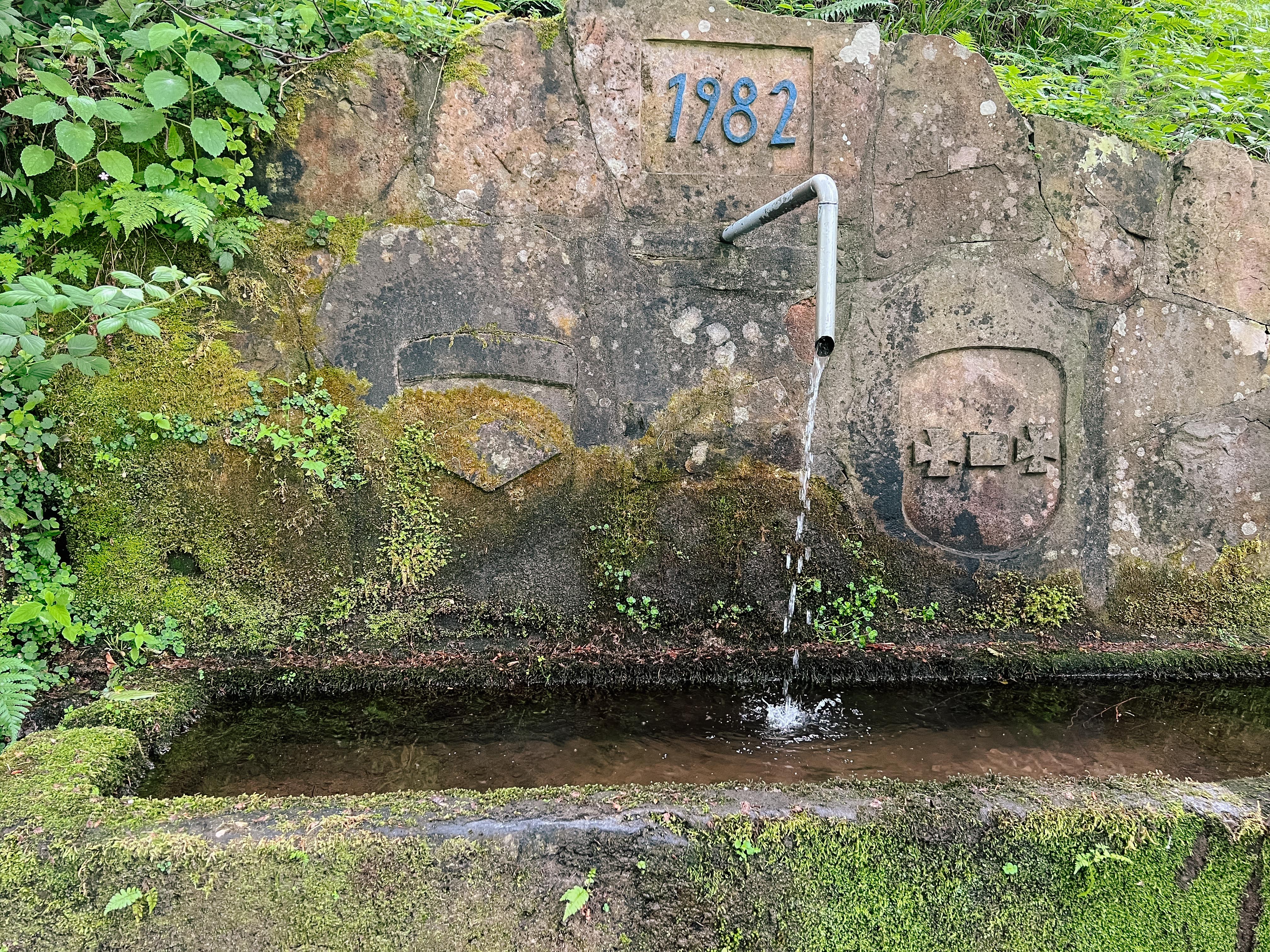 Brunnen im Wald