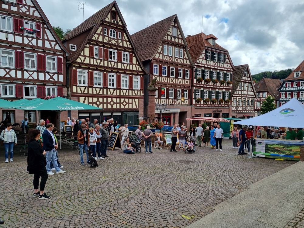 Fachwerkhäuser am Marktplatz in Calw
