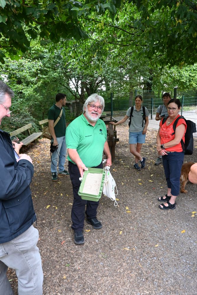 Schwarzwald-Guide Martin Hämmerle zeigt eine Sandkiste mit Tierspuren