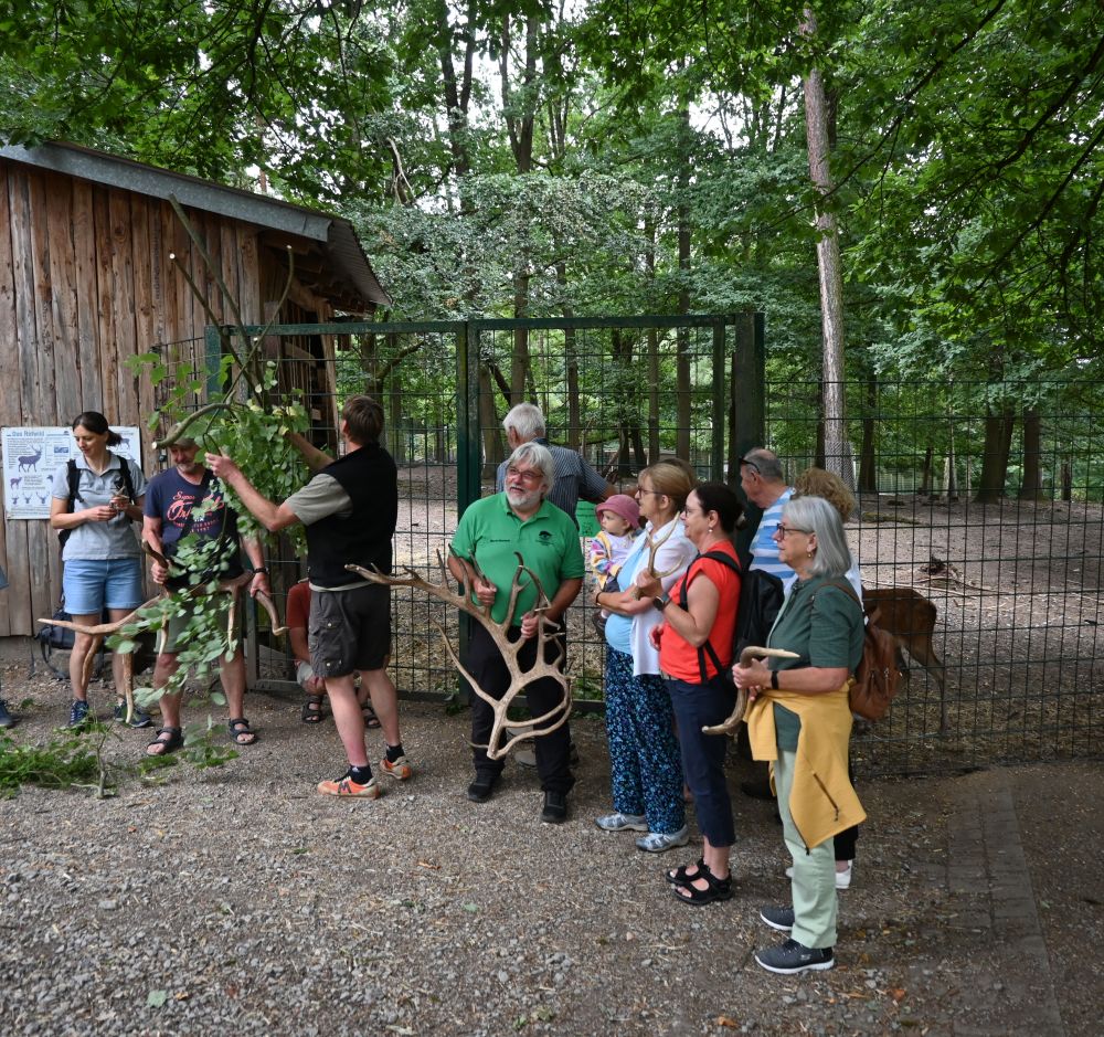 Schwarzwald-Guide mit Gruppe vor einem Wildgehege.