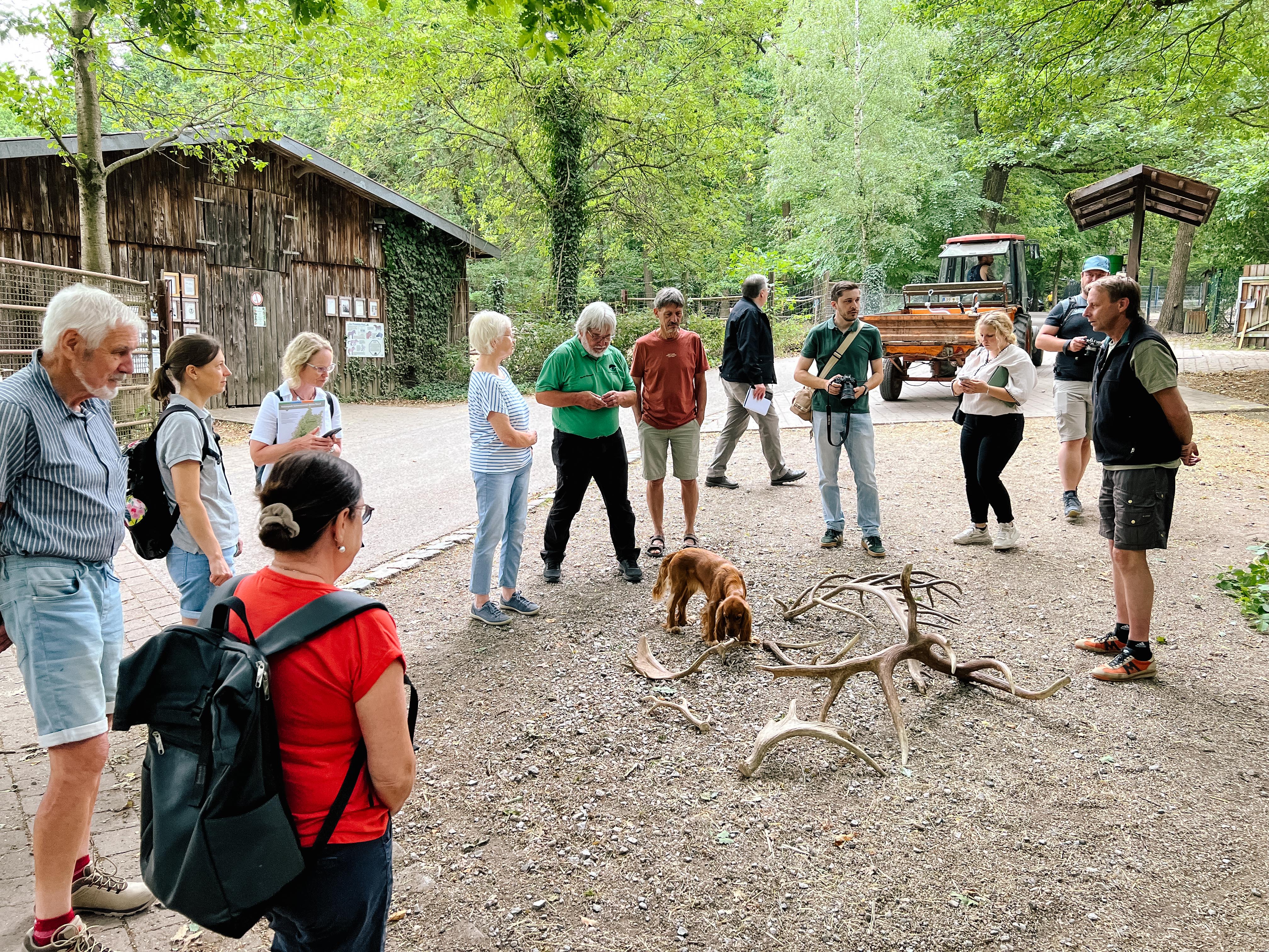 Wildpark-Leiter erklärt Gruppe Geweihe unterschiedlicher Tiere