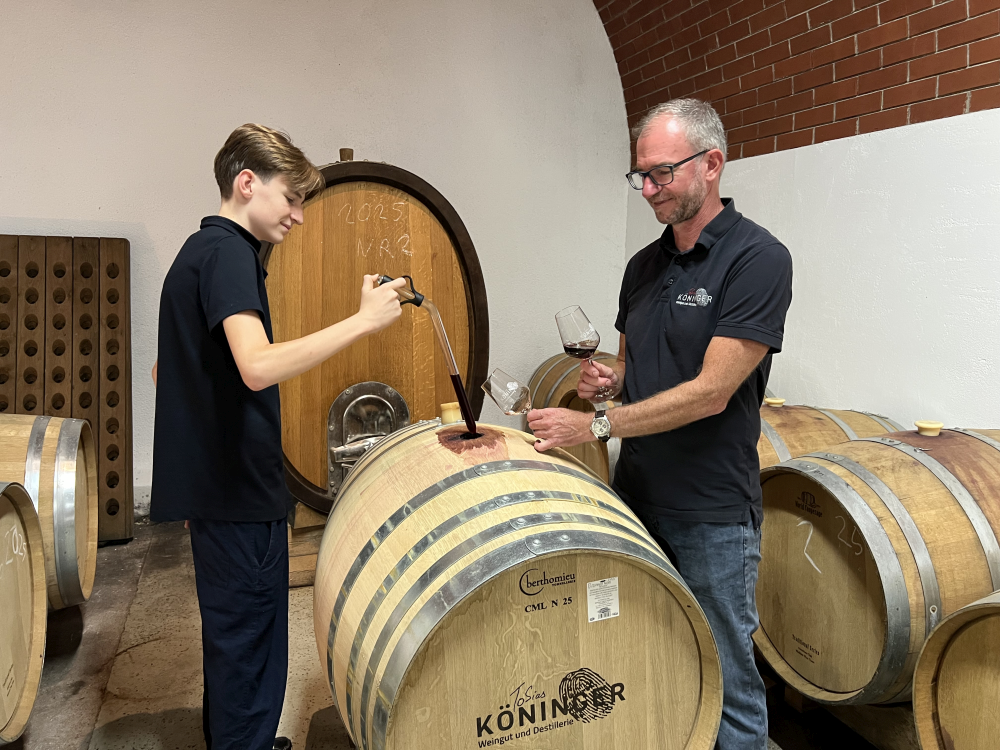 Tobias Köninger und sein Sohn entnehmen eine Weinprobe aus einem Eichenfass.