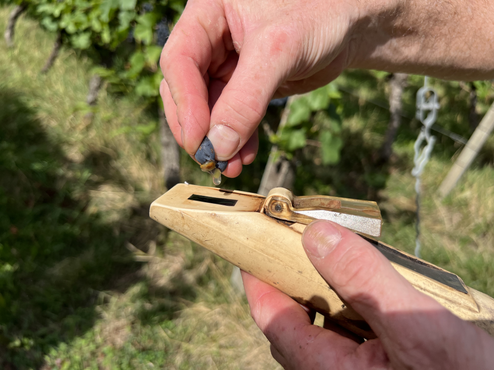 Traubensaft troopft auf Refraktometer
