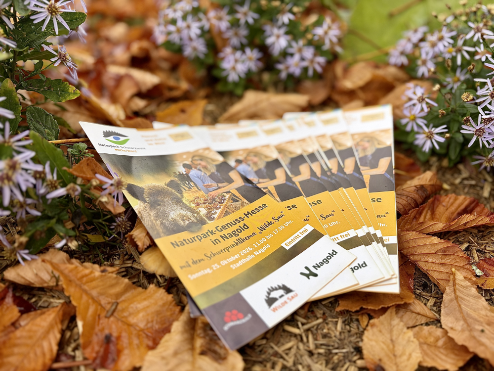 Flyer Naturpark-Genuss-Messe zwischen Herbstblättern