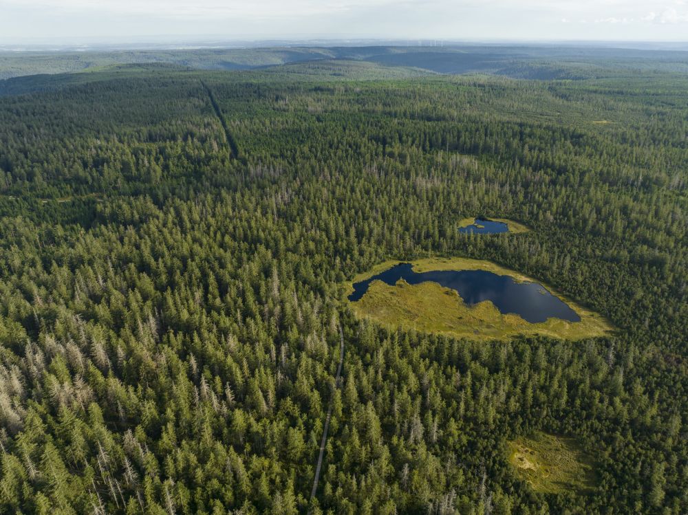 Moorlandschaft aus der Vogelperspektive