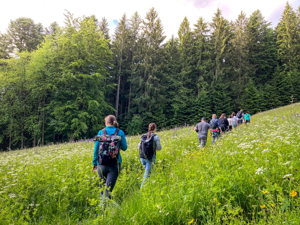 Menschen laufen durch eine blühende Wiese in Richtung Waldrand.