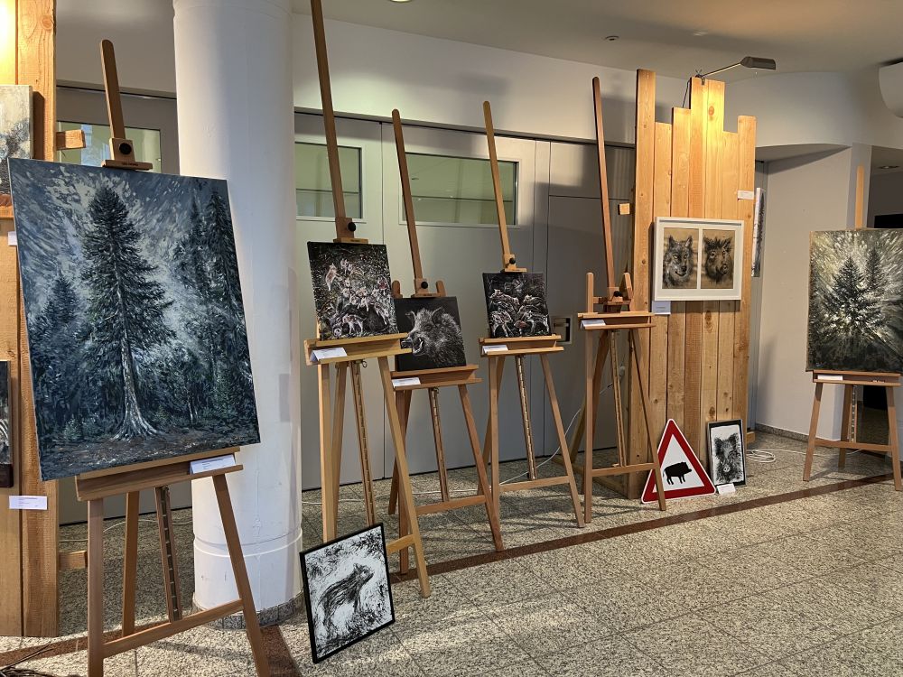 Bildergalerie Wilde Sau