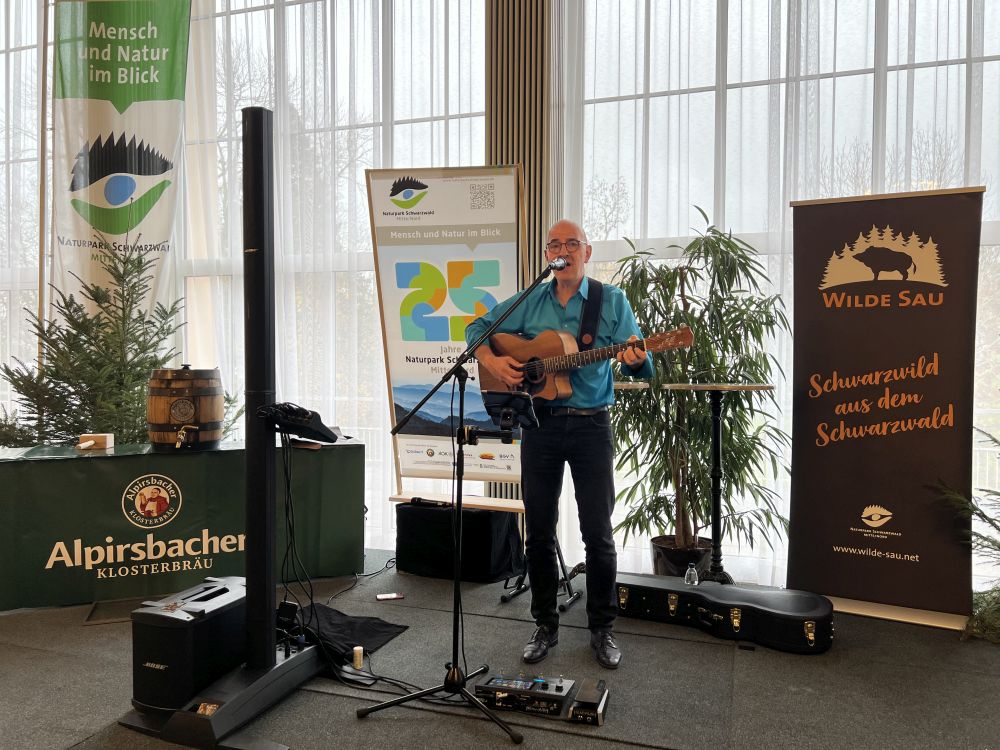 Sänger auf der Bühne