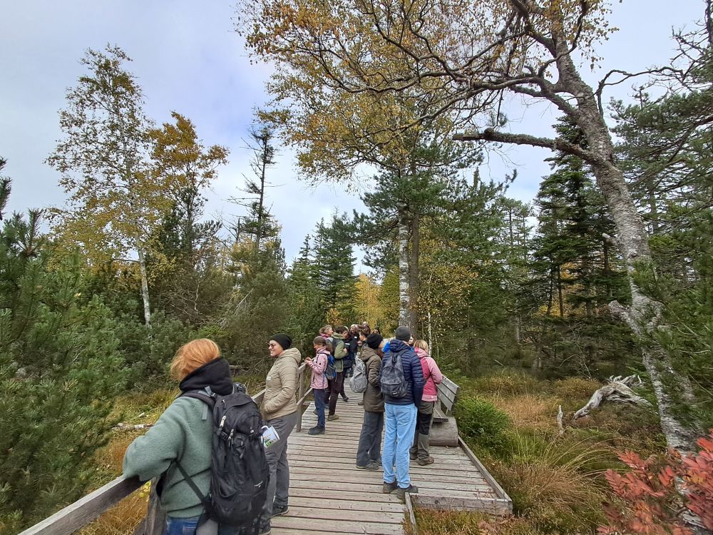 Menschen auf einem Bohlenweg im Moor